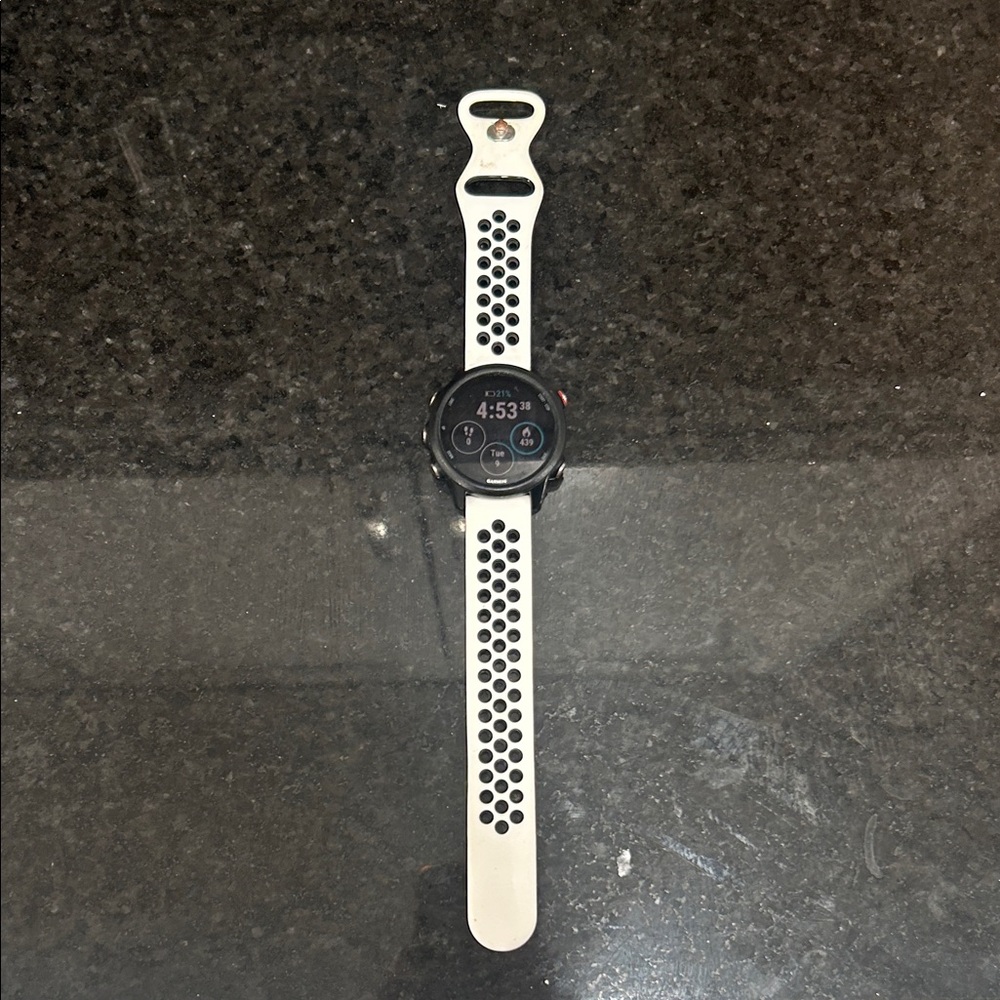 Garmin Forerunner 245